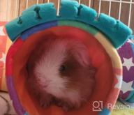 img 1 attached to 3-Way Collapsible Guinea Pig Tunnel With Fleece Forest Curtain - Homeya Hideout For Small Animals - Perfect Pet Toy And Cage Accessory For Rabbits, Ferrets, Rats, And Hedgehogs - Size L review by Chad Fox