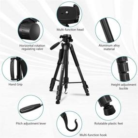 img 3 attached to 📸 Zoegate Portable Tripod 70"/177cm - Compact Aluminum Alloy Video Tripod for Travel Photography with 3-Way Swivel Pan Tilt Head, Cellphone Holder, and Smartphone Clip for Phone