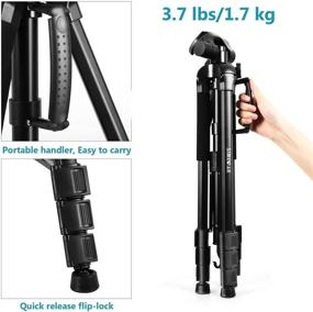 img 2 attached to 📸 Zoegate Portable Tripod 70"/177cm - Compact Aluminum Alloy Video Tripod for Travel Photography with 3-Way Swivel Pan Tilt Head, Cellphone Holder, and Smartphone Clip for Phone