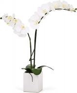 white double stem orchid artificial plant with ceramic planter - 23 inches by torre & tagus логотип