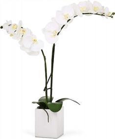 img 4 attached to White Double Stem Orchid Artificial Plant With Ceramic Planter - 23 Inches By Torre & Tagus