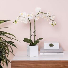 img 2 attached to White Double Stem Orchid Artificial Plant With Ceramic Planter - 23 Inches By Torre & Tagus