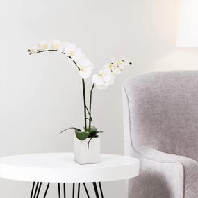 img 3 attached to White Double Stem Orchid Artificial Plant With Ceramic Planter - 23 Inches By Torre & Tagus