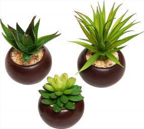 img 3 attached to Stylish Set Of 3 Miniature Artificial Succulents In Brown Ceramic Pots For Indoor Decor
