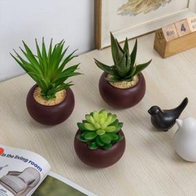 img 1 attached to Stylish Set Of 3 Miniature Artificial Succulents In Brown Ceramic Pots For Indoor Decor
