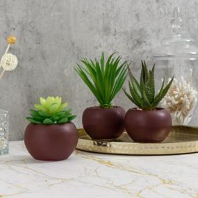 img 2 attached to Stylish Set Of 3 Miniature Artificial Succulents In Brown Ceramic Pots For Indoor Decor