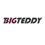 bigteddy logo