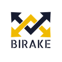 birake network логотип