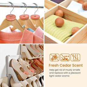 img 3 attached to 40-Piece Cedar Chips, Balls, Rings & Sachets Combo Pack - Perfect For Closets And Drawers Storage!
