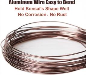 img 2 attached to Grow And Train Your Bonsai Trees With 3 Sizes Of High-Quality Brown Training Wire - Corrosion And Rust Resistant