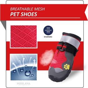 img 2 attached to 🐾 Breathable Dog Boots for Medium and Large Dogs - Paw Protectors, Dog Booties (Set of 4)