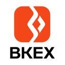 bkex logosu