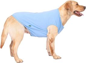 img 2 attached to SyChien Dog Lightweight Shirts - Cool Summer T-Shirts for Dogs, Soft Pet Sleeveless Blank Clothing - Chihuahua Costumes for Puppy Kitty Cats, 2 Pack, XS (Blue Green)