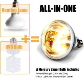 img 3 attached to 🦎 MRREPTILE 100W Mercury Vapor Bulb: High-Quality Reptile UVA UVB Basking Light for Bearded Dragon, Turtle, and Lizard - E26 110V