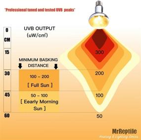 img 2 attached to 🦎 MRREPTILE 100W Mercury Vapor Bulb: High-Quality Reptile UVA UVB Basking Light for Bearded Dragon, Turtle, and Lizard - E26 110V