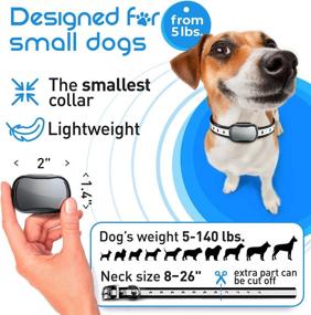 img 3 attached to 🐶 Waterproof Extra Small Dog Training Collar - Ideal for 5-15lbs Dogs & Puppies with Remote - 1000 Ft Range