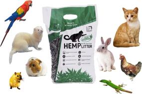 img 3 attached to 🐾 Hemp Cat Litter Bulk – Premium Natural Cat Litter Pellets, Advanced Dust-Free Cat Litter, Safe for Pets & Humans, Biodegradable Multi Cat Litter, Quick Odor Absorption, Vol 10lb