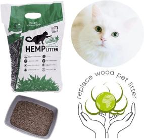 img 1 attached to 🐾 Hemp Cat Litter Bulk – Premium Natural Cat Litter Pellets, Advanced Dust-Free Cat Litter, Safe for Pets & Humans, Biodegradable Multi Cat Litter, Quick Odor Absorption, Vol 10lb