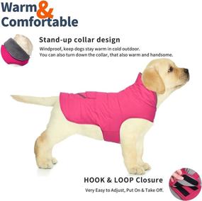 img 3 attached to 🧥 Reflective Strip Dog Winter Coat with Pocket, Windproof Waterproof Dog Jacket, Warm Dog Sweater Clothes, Pet Winter Vest for Small Medium Extra Large Dogs, Puppy Pet (Pink, L)