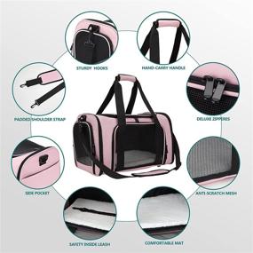 img 2 attached to Zbrivier Dog Carrier: Lightweight, Collapsible Travel Bag for Small Dogs & Cats - Medium Size, Pink Color