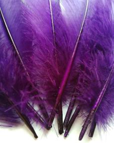 img 3 attached to Vibrant 50-Pack Of 13-16 Inch Purple Rooster Coque Tail Feathers For Costume, Hat, And Craft Décor