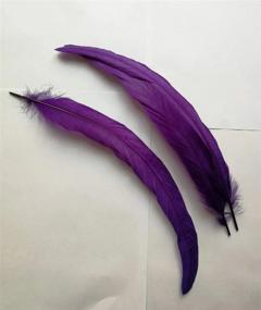 img 1 attached to Vibrant 50-Pack Of 13-16 Inch Purple Rooster Coque Tail Feathers For Costume, Hat, And Craft Décor