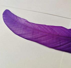 img 2 attached to Vibrant 50-Pack Of 13-16 Inch Purple Rooster Coque Tail Feathers For Costume, Hat, And Craft Décor