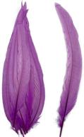 яркая упаковка из 50 фиолетовых петушиных перьев размером 13–16 дюймов для костюма, шляпы и декора поделок логотип