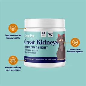 img 3 attached to Great Kidneys Natural Function Supplement