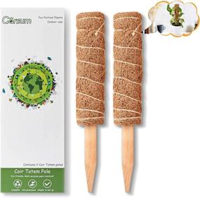 img 4 attached to Enhance Your Plant Growth With Garsum'S 24-Inch Moss Pole And 2-Pack 12-Inch Coco Sticks For Climbing Indoor Potted Plants!
