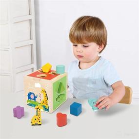 img 2 attached to 🧩 Tookyland Wooden Shape Sorter Cube Toy - Animal Blocks Geometric Shapes - Montessori Toy for Babies and Toddlers Aged 1-3