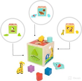 img 3 attached to 🧩 Tookyland Wooden Shape Sorter Cube Toy - Animal Blocks Geometric Shapes - Montessori Toy for Babies and Toddlers Aged 1-3