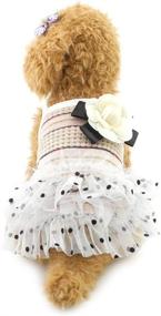 img 1 attached to SMALLLEE_LUCKY_STORE XY000333 S Spaghetti DressYorkie Clothes