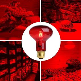 img 1 attached to 2 Pack - 75W Red Pet Light Infrared Bulbs for Reptile & Amphibian Heating - Lizard, Tortoise, Snake, Chameleon - UVA Spot Heat Lamps