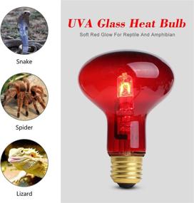 img 2 attached to 2 Pack - 75W Red Pet Light Infrared Bulbs for Reptile & Amphibian Heating - Lizard, Tortoise, Snake, Chameleon - UVA Spot Heat Lamps