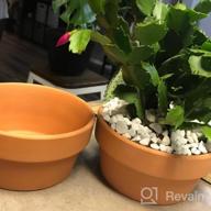 img 1 attached to Set Of 2 POTEY 6.1" Terracotta Planters W/ Drainage Hole For Succulent & Cactus review by Bob Berry