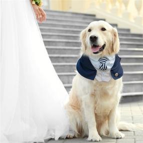 img 3 attached to 🎩 Dressing Up Your Pooch: Dog Tuxedo Bandana with Bow Tie for Weddings & Parties (XX-Large)