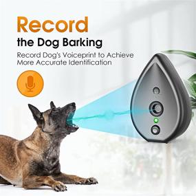 img 2 attached to MODUS Automatic Recognition Irregular Ultrasound Dogs