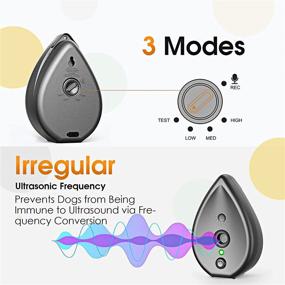 img 3 attached to MODUS Automatic Recognition Irregular Ultrasound Dogs