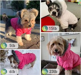 img 1 attached to Warm & Windproof Dog Coats For Small Dogs - LesyPet Grey S