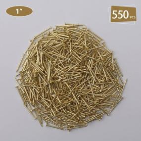 img 3 attached to 550 Pack Of 1 Inch Brass-Plated Wood Nails - Perfect For Picture Hanging, Finishing, And Roofing