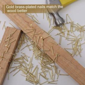 img 2 attached to 550 Pack Of 1 Inch Brass-Plated Wood Nails - Perfect For Picture Hanging, Finishing, And Roofing