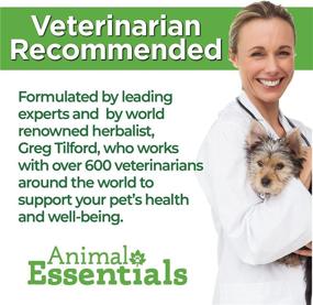 img 3 attached to USA-Made Animal Essentials Liver Defense: Dandelion & Milk Thistle Support - 1 Fluid Ounce for Dogs & Cats