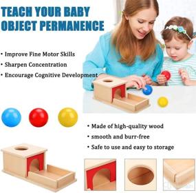 img 2 attached to Montessori Permanence Toddlers Educational Learning