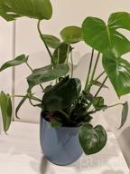 img 1 attached to 7 Inch White Ceramic Indoor Planters With Drainage Hole - Modern Decorative Plant Pots For Indoor Plants review by Tim Kallimanis