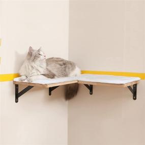 img 1 attached to 🐾 FUKUMARU Solid Rubber Wood Corner Cat Shelves - Wall Mounted Hanging Furniture, 0.79" Thick, 21.2" x 11.1", Set of 2