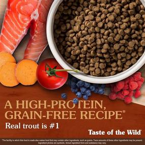 img 1 attached to Taste of the Wild: Premium High Protein Cat Food with Real Meat, Probiotics, and Superfoods for Adult Cats and Kittens