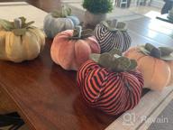 img 1 attached to 14-Pack Foam Black Pumpkins For Effortlessly Elevating Your Fall And Halloween Decor review by Jennifer Davis