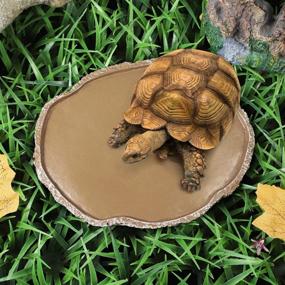 img 2 attached to 🐢 UEETEK Reptile Feeding Plate - Vivarium Food Water Dish, Resin Bowl for Turtle, Gecko, Snake, Pet Breeding Tray