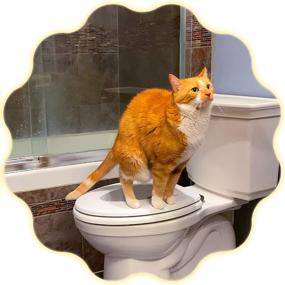 img 4 attached to Hover Cat Seat Toilet Training